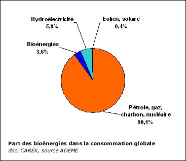 Part des bioénergies dans la consommation globale