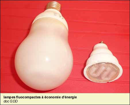 lampes fluocompactes à économie d'énergie
