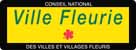 ville fleurie 1 fleurs