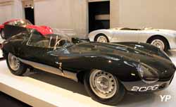 Jaguar XKD