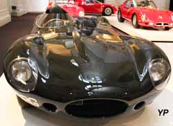 Jaguar XKD long nose