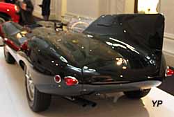 Jaguar XKD long nose