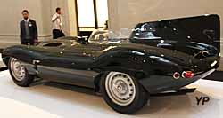 Jaguar XKD long nose