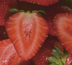fraises