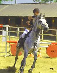 équitation