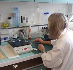 un chercheur prépare des biopsies pour étude (doc. Yalta Production)