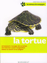 La tortue