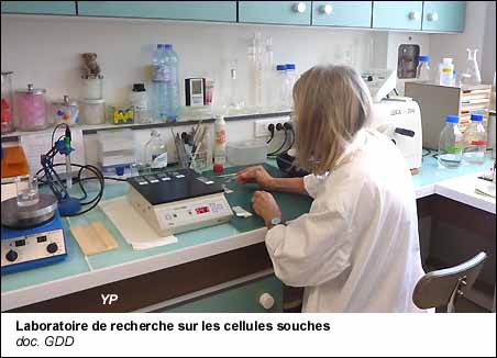 Laboratoire de recherche sur les cellules souches