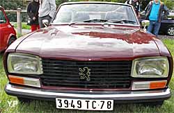 Peugeot 304