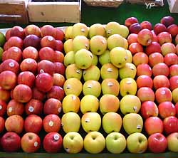 étal de pommes au marché de Cannes 