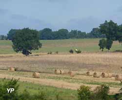 paysage de campagne 