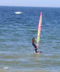 Planche à voile 