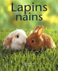 Lapins nains