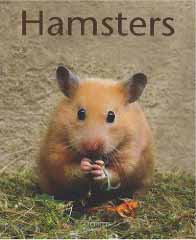 Hamsters