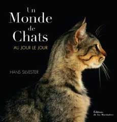 Un monde de chats