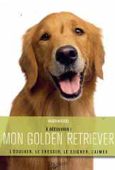 Mon golden retriever