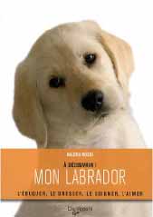 Mon labrador