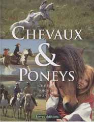 Chevaux et poneys